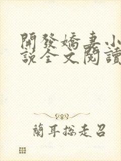 开发娇妻小楠小说全文阅读最新章节