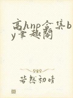 高hnp合集by笔趣阁封面