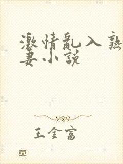 激情乱入熟妇人妻小说封面