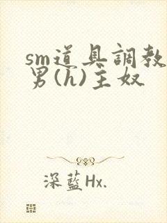 sm道具调教男男(h)主奴