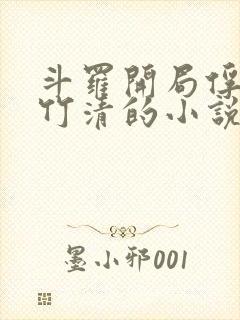 斗罗开局俘获朱竹清的小说封面