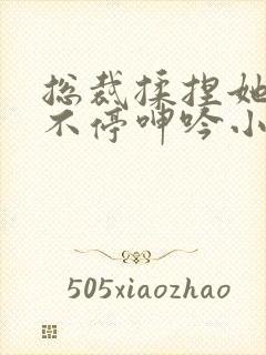 总裁揉捏她两乳不停呻吟小说