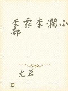 李霖李澜小说全部