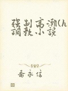 强制高潮(h)调教小说