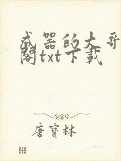 成器的大哥笔趣阁txt下载