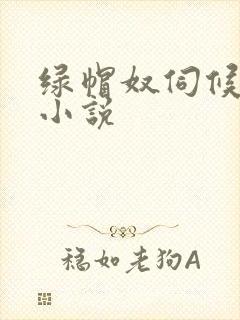 绿帽奴伺候老婆小说