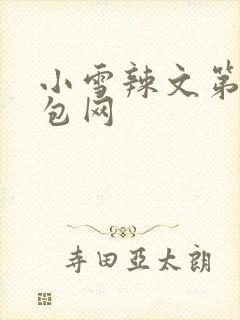 小雪辣文第二书包网