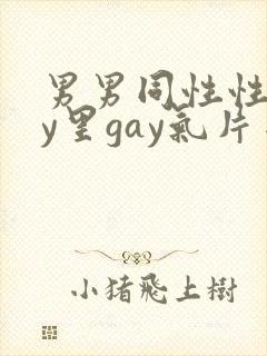 男男同性性gay里gay气片网站