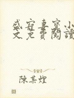 盛宠妻宝小说全文免费阅读封面