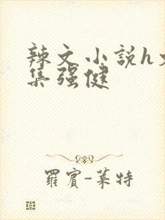 辣文小说h文合集强健