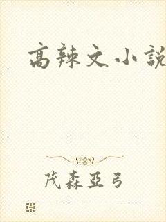 高辣文小说h文封面