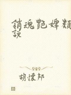 销魂艳婢类似小说