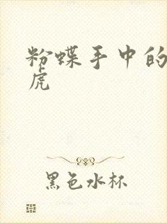 粉蝶手中的纸老虎封面