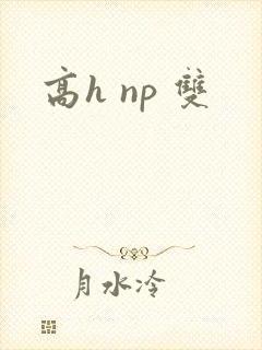 高h np 双