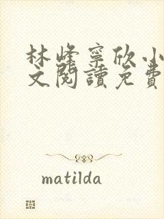 林峰宁欣小说全文阅读免费阅读封面