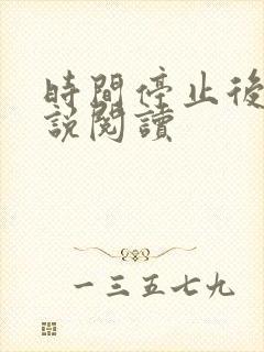 时间停止后 小说阅读