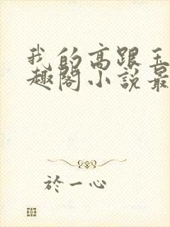 我的高跟玉足笔趣阁小说最新