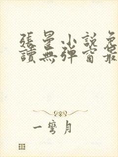 张曼小说免费阅读无弹窗最新章节