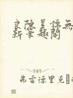 良陈美锦无删减新笔趣阁