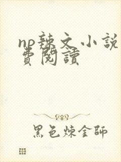 np辣文小说免费阅读