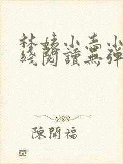 林姨小志小说在线阅读无弹窗