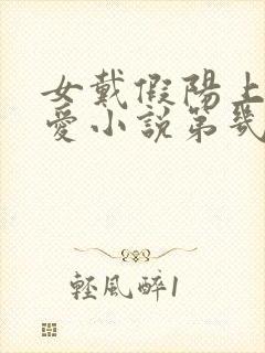 女戴假阳上男四爱小说第几章在一起