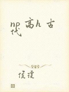 np 高h 古代