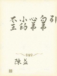 不小心勾引了男主的弟弟封面