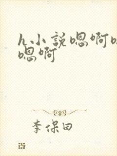 h小说嗯啊嗯啊嗯啊