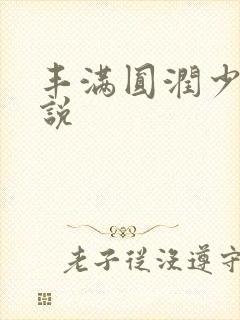 丰满圆润少妇小说封面