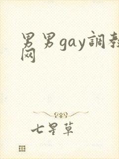男男gay调教网
