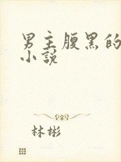 男主腹黑的古言小说