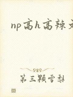 np高h高辣文