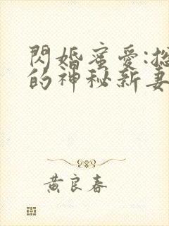 闪婚蜜爱:总裁的神秘新妻