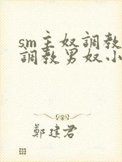 sm主奴调教:调教男奴小说封面