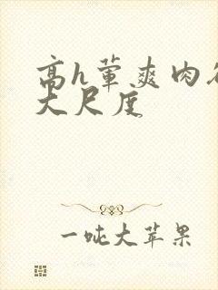 高h荤爽肉欲文大尺度