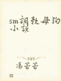 sm调教母狗奴小说