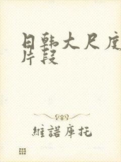 日韩大尺度床戏片段