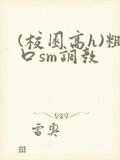 (校园高h)粗口sm调教