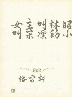 女主叫林昭男主叫宋凛的小说