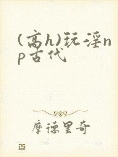 (高h)玩淫np古代