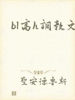 bl高h调教文