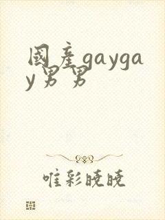 国产gaygay男男
