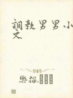 调教男男小说h文封面