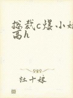 总裁c爆小娇妻高h封面
