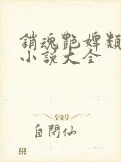 销魂艳婢类似的小说大全