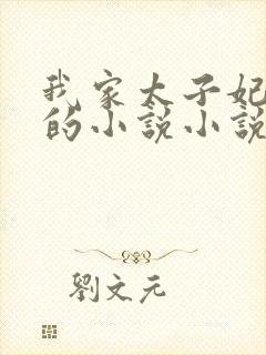 我家太子妃超凶的小说小说