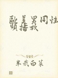 欧美男同性恋视频播放