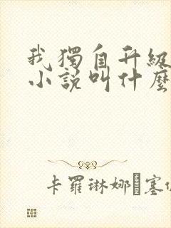 我独自升级原著小说叫什么