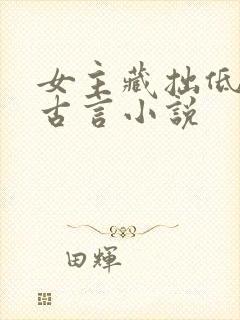 女主藏拙低调的古言小说封面